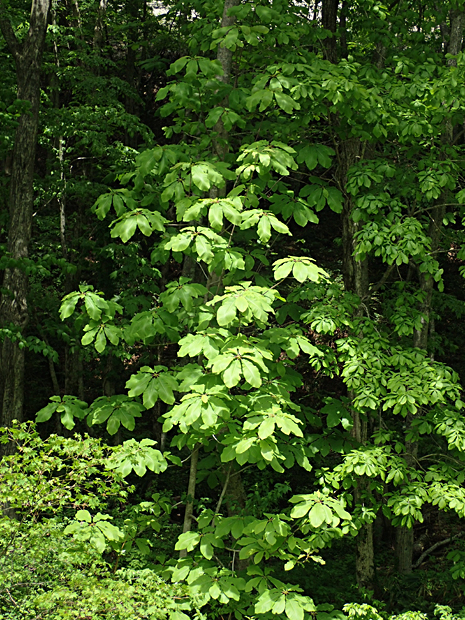 f0214649_4583454.jpg