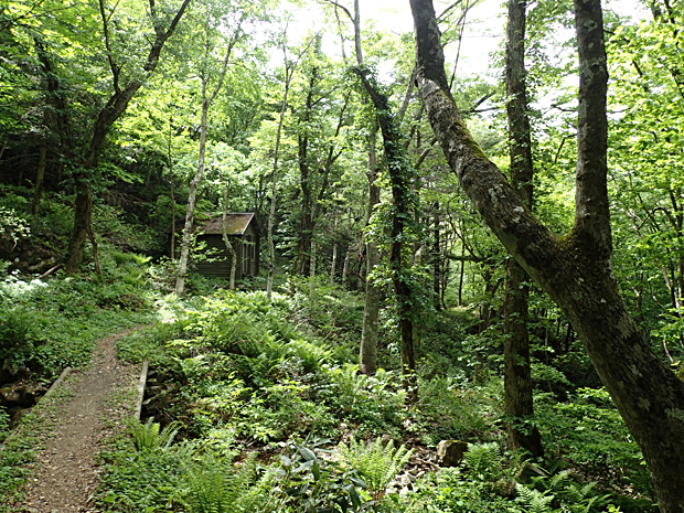 f0214649_4593066.jpg
