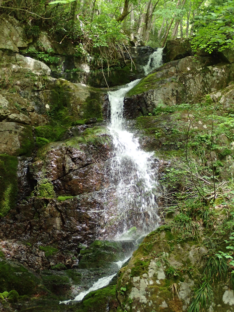 f0214649_572248.jpg