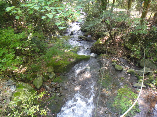c0179351_20544153.jpg