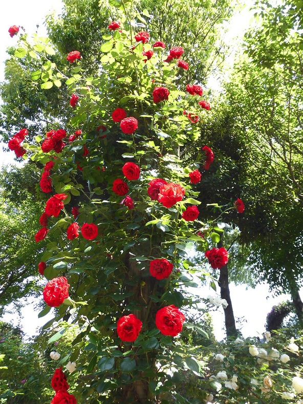 c0031856_22573980.jpg