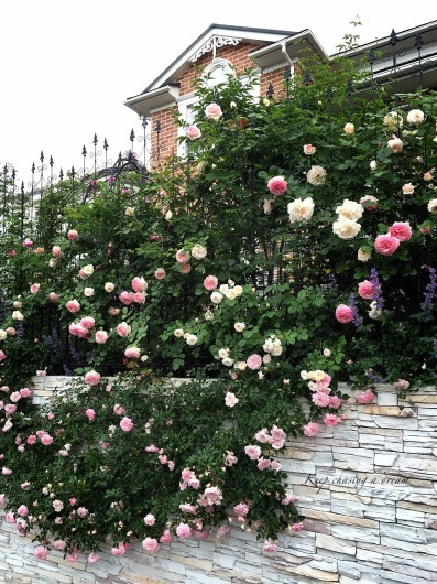 c0369367_13495541.jpg