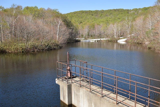 f0342371_21302769.jpg