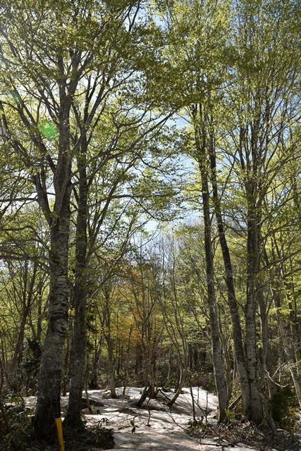 f0342371_2130797.jpg