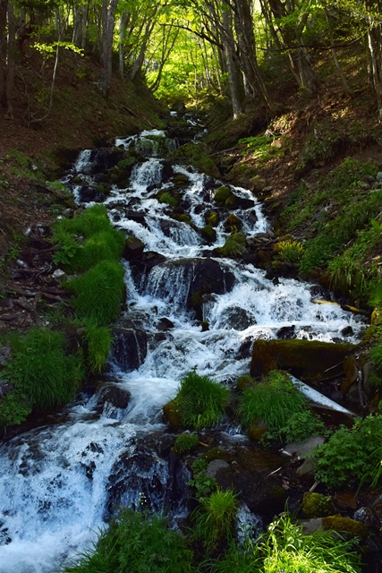 f0342371_21413630.jpg