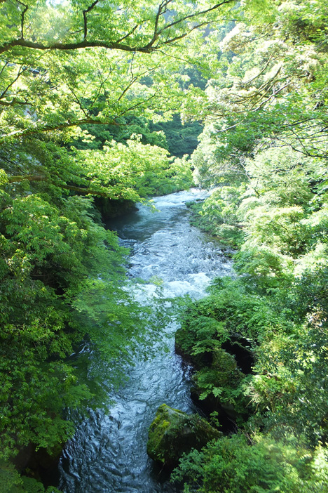 d0095673_10373575.jpg