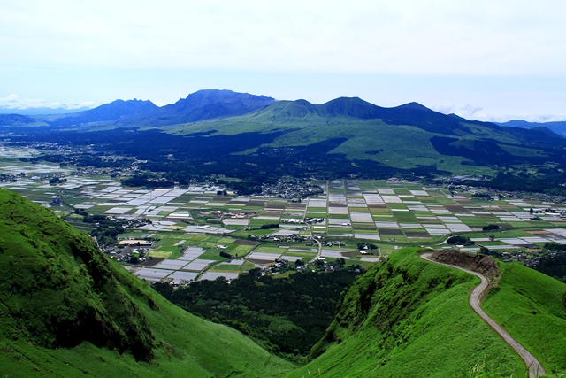 d0126577_1953188.jpg
