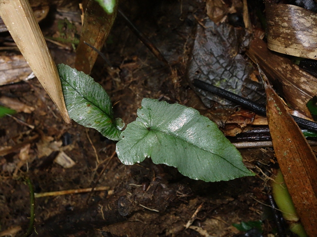 a0067578_1715121.jpg