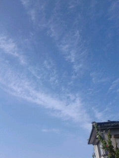 f0127282_1725288.jpg
