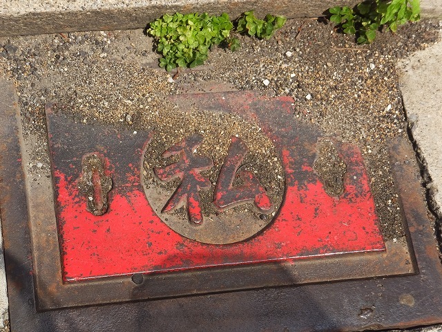 b0317485_18154607.jpg