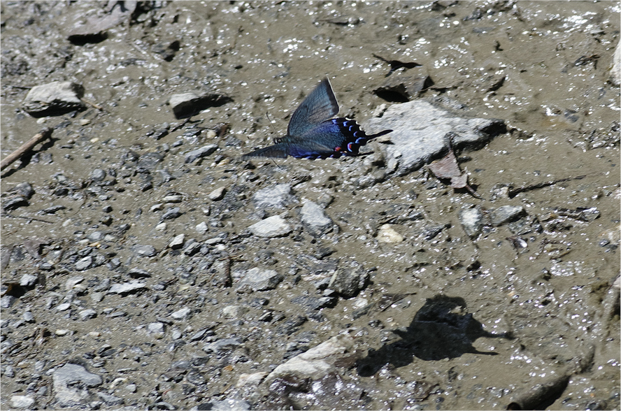 d0209988_20183039.jpg