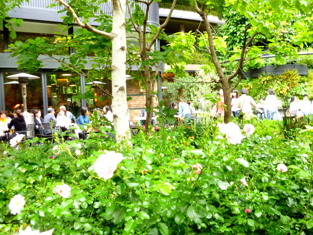f0137694_052680.jpg