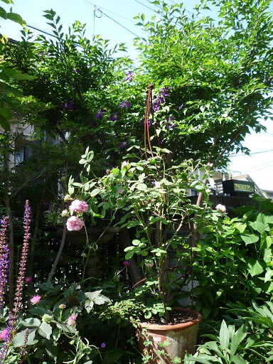 e0234004_20523538.jpg