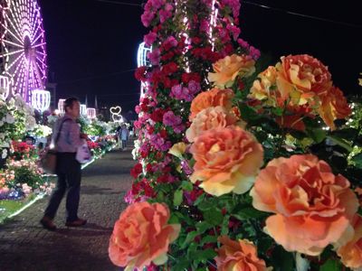 f0218012_8121693.jpg