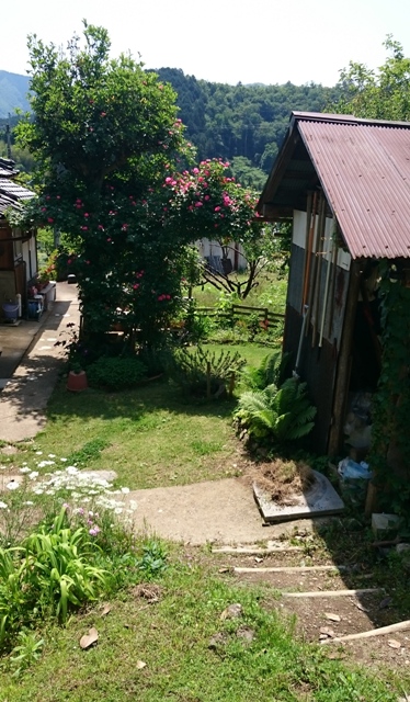 d0167621_21172667.jpg