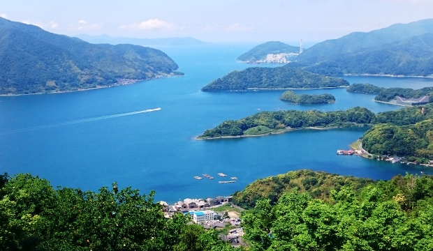 d0167621_2212419.jpg