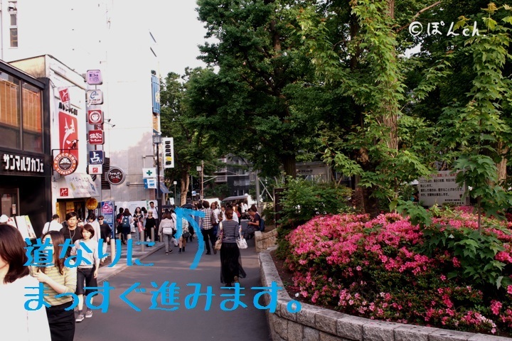 a0332232_15284996.jpg