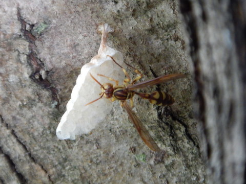 f0118332_23374504.jpg