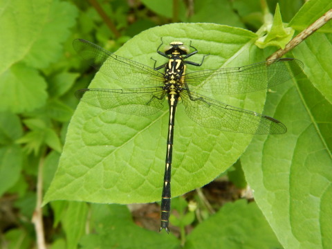 f0118332_23375344.jpg