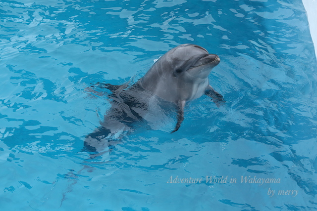 a0207736_23453838.jpg