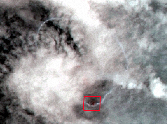 c0184737_2057228.jpg