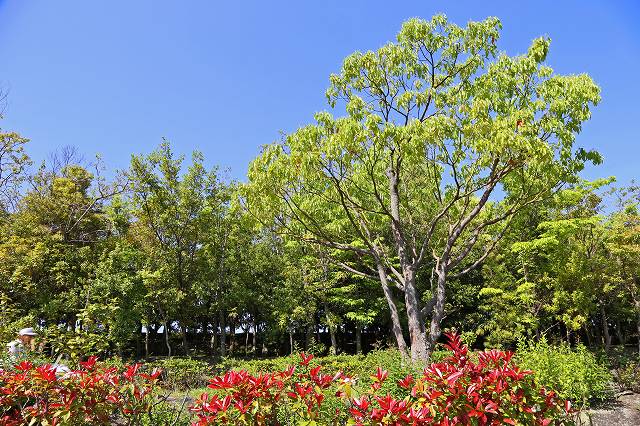 a0242438_19395549.jpg