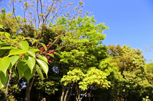 a0242438_19404663.jpg