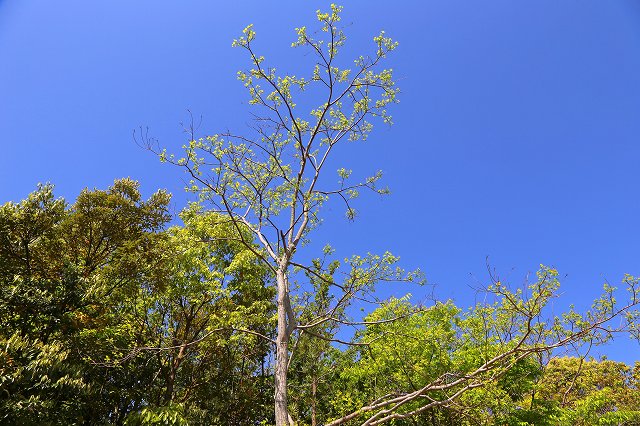 a0242438_19413498.jpg