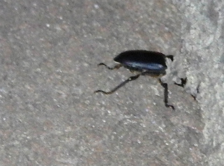 f0104042_0185497.jpg