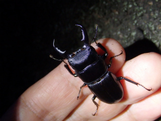 f0104042_23532670.jpg