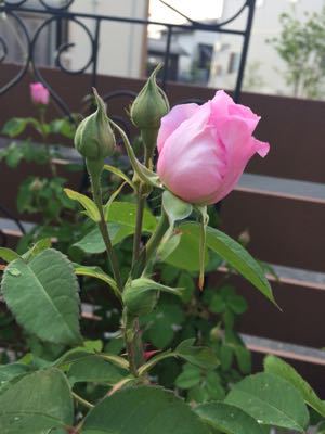 c0359445_2274353.jpg