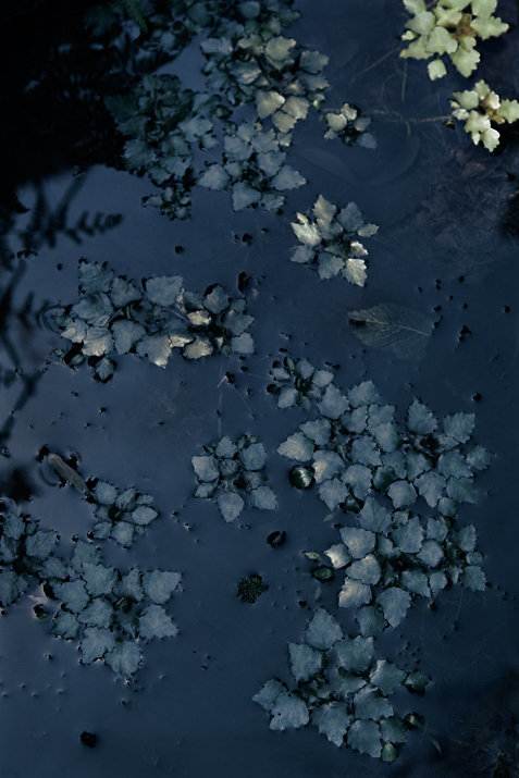 c0203449_2064236.jpg
