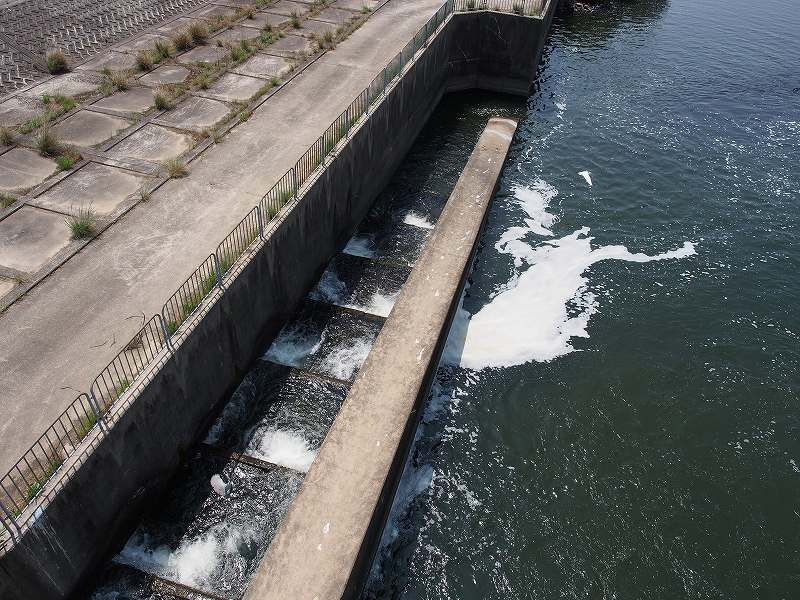d0128465_1114375.jpg