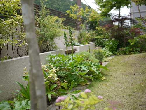 e0138066_6115749.jpg