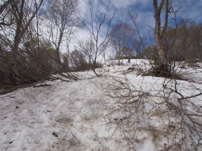 c0321967_20414386.jpg