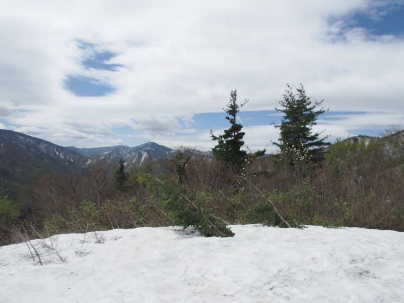 c0321967_20414444.jpg