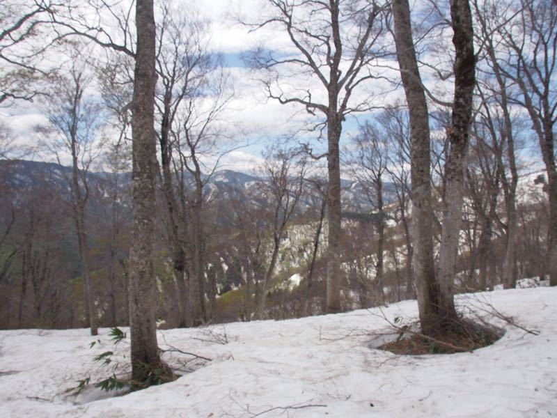 c0321967_20415755.jpg