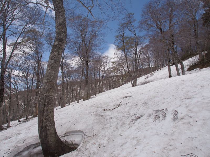 c0321967_20415955.jpg