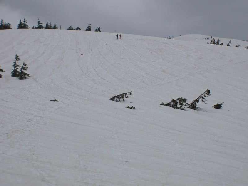 c0321967_2042497.jpg