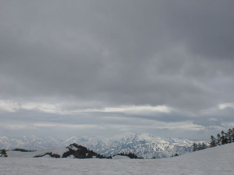c0321967_204273.jpg