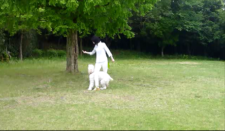 e0161972_8174670.png
