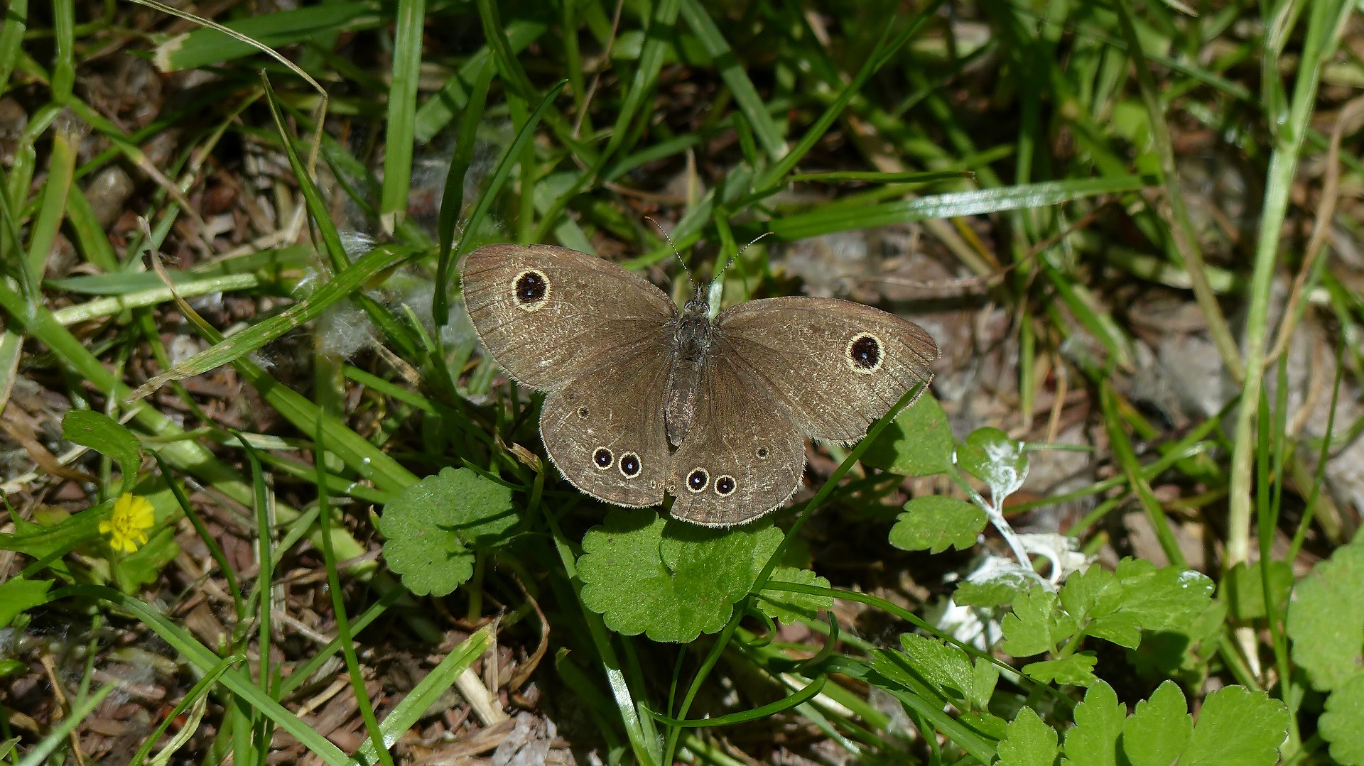 a0185081_12565928.jpg