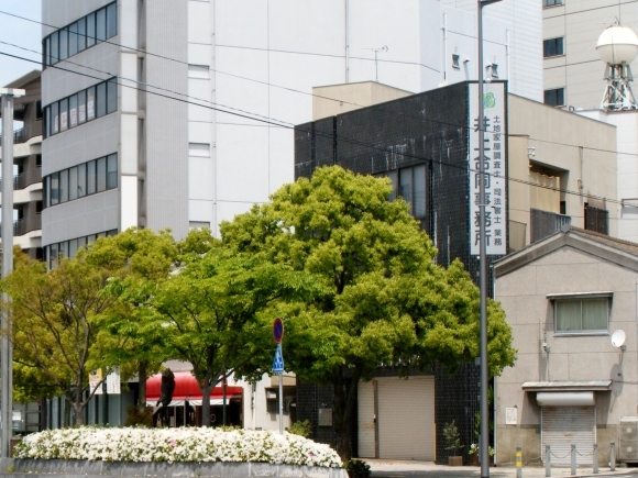 f0004581_10324564.jpg