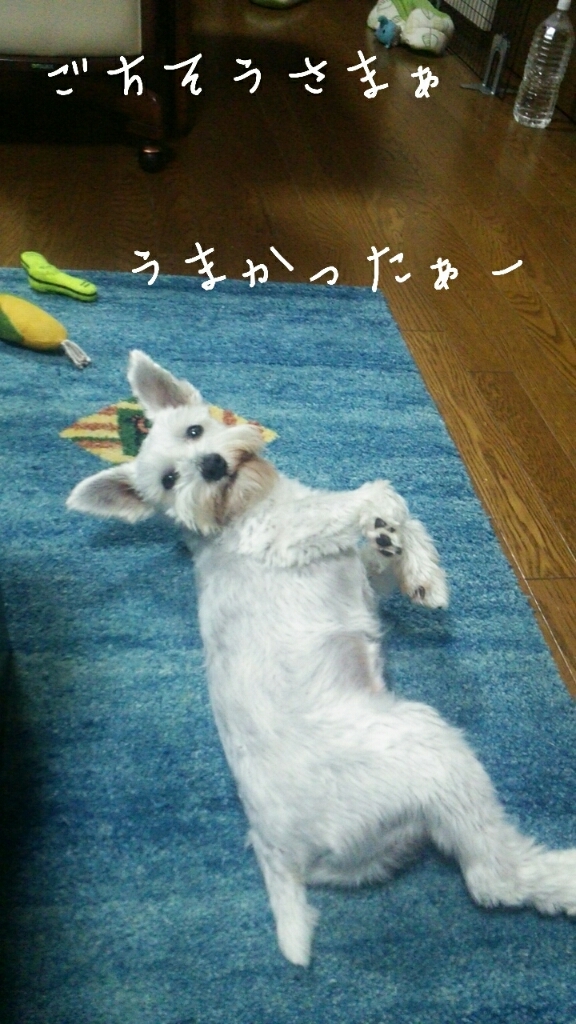c0348784_13331366.jpg