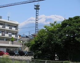 e0130185_1652142.jpg