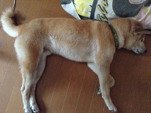 c0123890_2054731.jpg