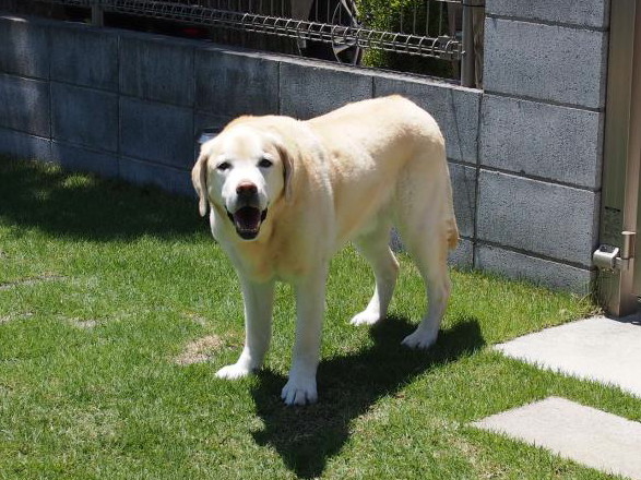 c0028792_22462689.jpg