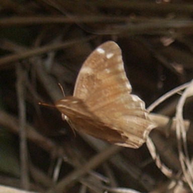 b0194593_9125086.jpg