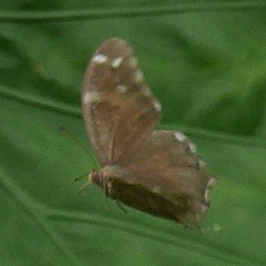 b0194593_9143950.jpg