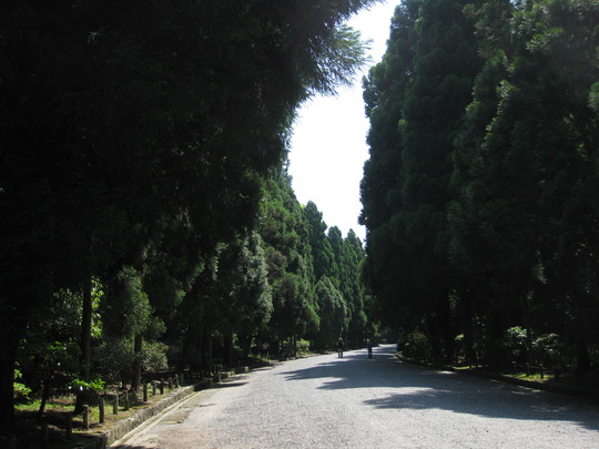 f0010195_1355549.jpg